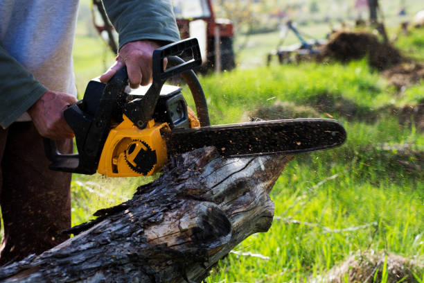 Best Commercial Tree Services  in Big Rock, IL